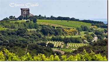 Domaine Chante Cigale Chateauneuf du Pape Rouge 2022