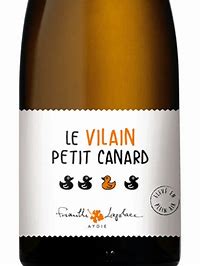 Le Vilain Petit Canard